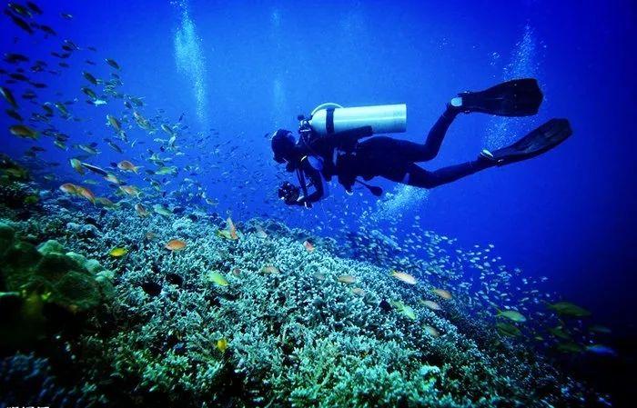 今年春运滨州预计发送旅客300万人次